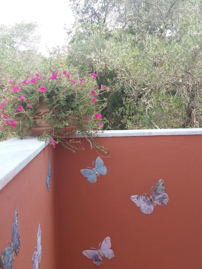 Alexandra Spingou Apartments Dassia (Corfu) Exterior foto